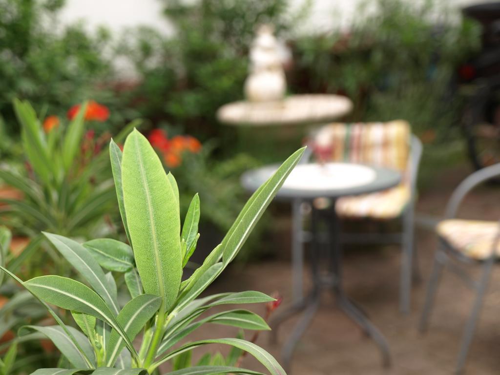 Ferienwohnung Klatschmohn Speyer Ngoại thất bức ảnh